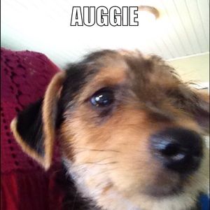 Meet your Posher, Ethel m